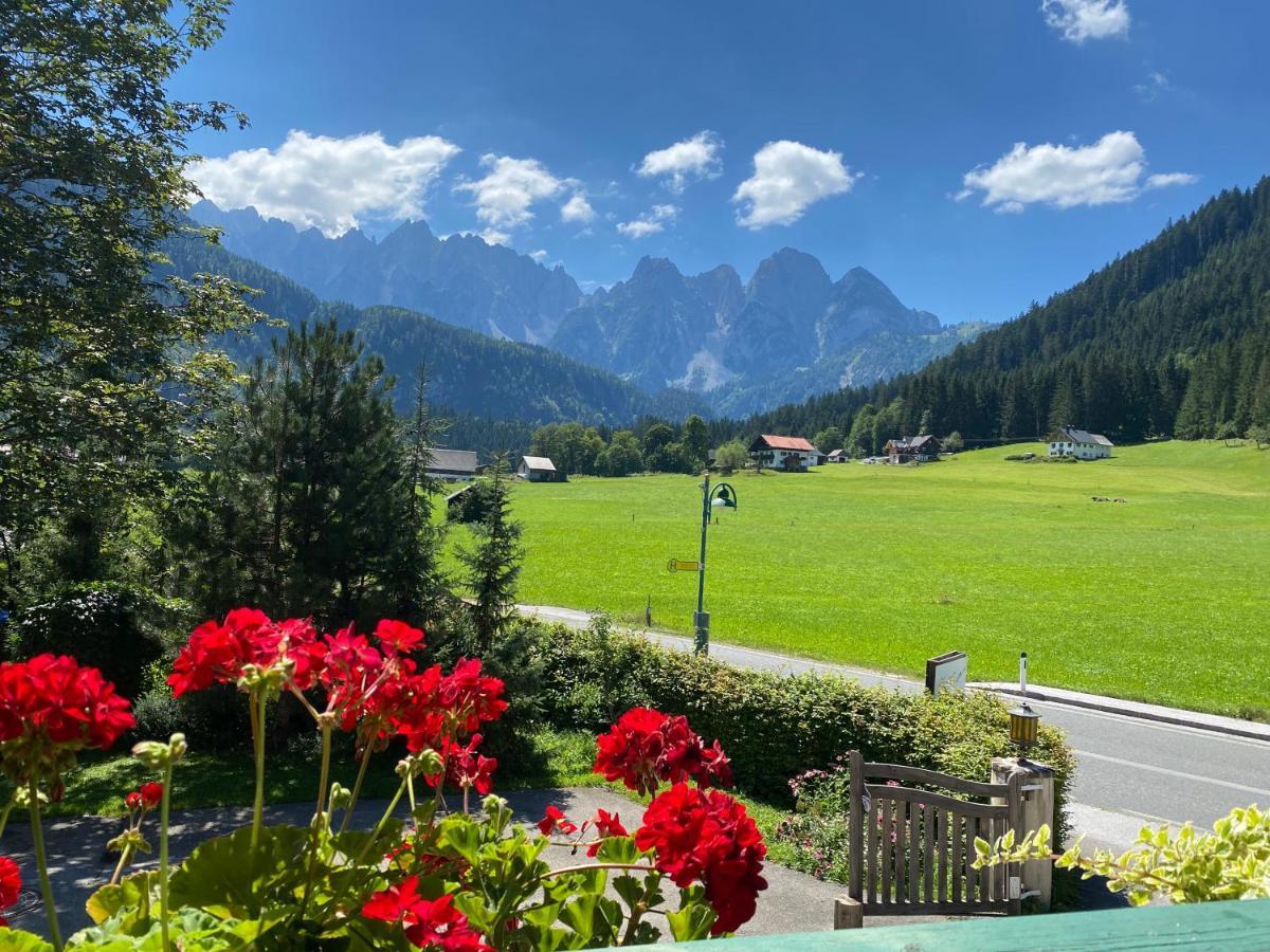 Muehlradl Apartments Gosau Dış mekan fotoğraf