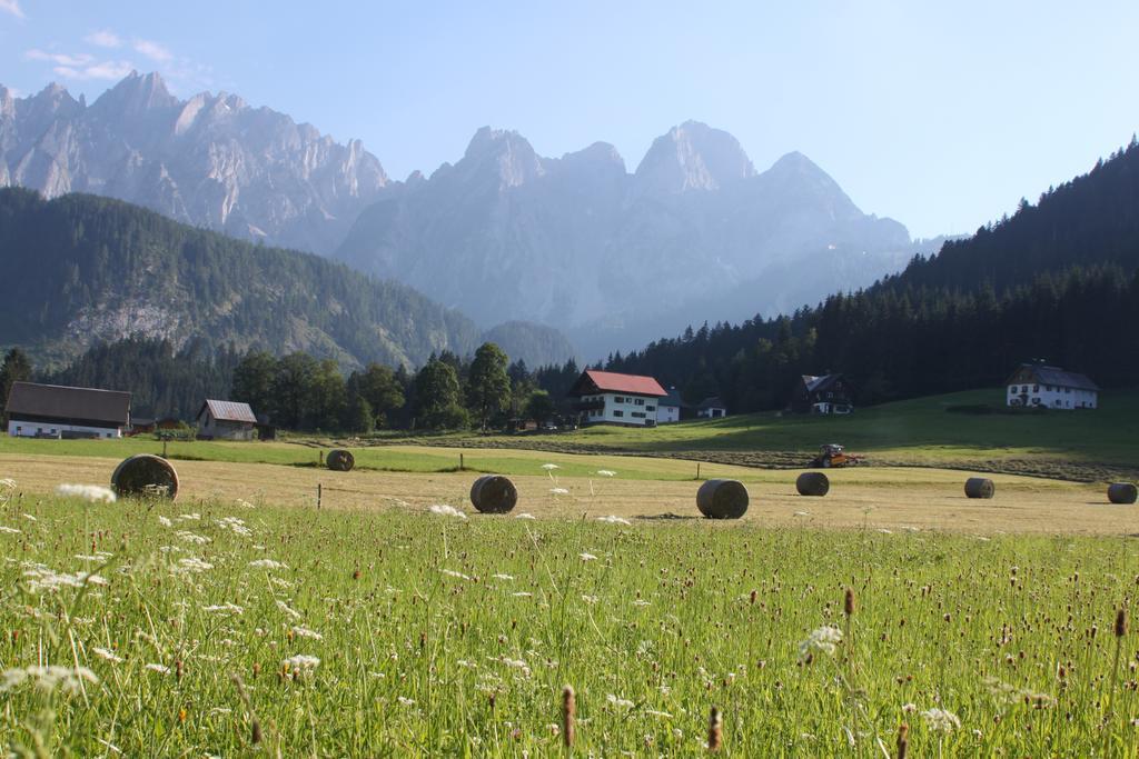 Muehlradl Apartments Gosau Oda fotoğraf