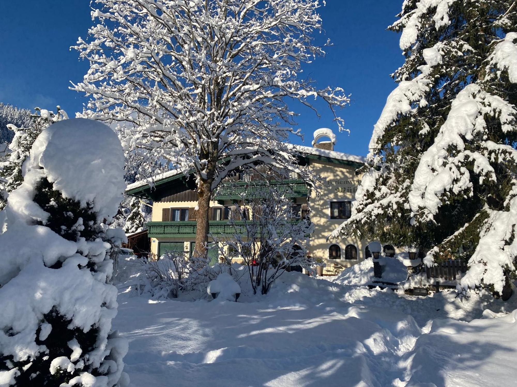 Muehlradl Apartments Gosau Dış mekan fotoğraf