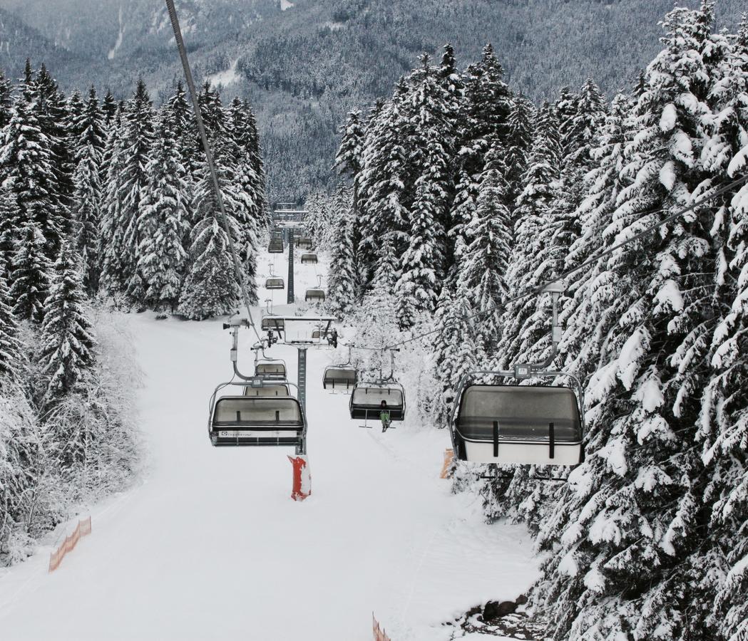 Muehlradl Apartments Gosau Dış mekan fotoğraf
